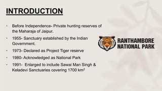 INTRODUCTION
• Before Independence- Private hunting reserves of
the Maharaja of Jaipur.
• 1955- Sanctuary established by the Indian
Government.
• 1973- Declared as Project Tiger reserve
• 1980- Acknowledged as National Park
• 1991- Enlarged to include Sawai Man Singh &
Keladevi Sanctuaries covering 1700 km2
 
