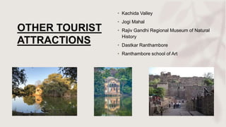 OTHER TOURIST
ATTRACTIONS
• Kachida Valley
• Jogi Mahal
• Rajiv Gandhi Regional Museum of Natural
History
• Dastkar Ranthambore
• Ranthambore school of Art
 