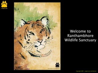 Welcome to Ranthambhore Wildlife Sanctuary 