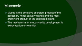 Mucocele
 Mucus is the exclusive secretory product of the
accessory minor salivary glands and the most
prominent product of the sublingual gland.
 The mechanism for mucus cavity development is
extravasation or retention
 