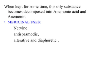 When kept for some time, this oily substance
becomes decomposed into Anemonic acid and
Anemonin
• MEDICINAL USES:
Nervine
antispasmodic,
alterative and diaphoretic .
 