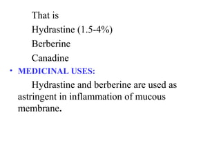 That is
Hydrastine (1.5-4%)
Berberine
Canadine
• MEDICINAL USES:
Hydrastine and berberine are used as
astringent in inflammation of mucous
membrane.
 
