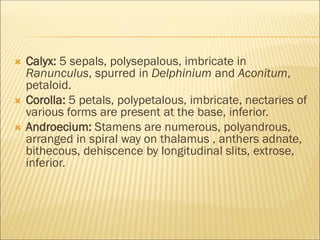  Calyx: 5 sepals, polysepalous, imbricate in
Ranunculus, spurred in Delphinium and Aconitum,
petaloid.
 Corolla: 5 petals, polypetalous, imbricate, nectaries of
various forms are present at the base, inferior.
 Androecium: Stamens are numerous, polyandrous,
arranged in spiral way on thalamus , anthers adnate,
bithecous, dehiscence by longitudinal slits, extrose,
inferior.
 