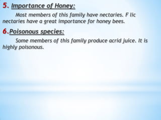 5. Importance of Honey:
Most members of this family have nectaries. F lic
nectaries have a great importance for honey bees.
6.Poisonous species:
Some members of this family produce acrid juice. It is
highly poisonous.
 