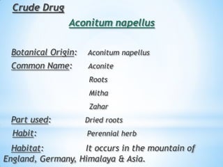 Crude Drug
Aconitum napellus
Botanical Origin: Aconitum napellus
Common Name: Aconite
Roots
Mitha
Zahar
Part used: Dried roots
Habit: Perennial herb
Habitat: It occurs in the mountain of
England, Germany, Himalaya & Asia.
 