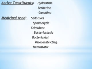 Active Constituents: Hydrastine
Berberine
Canadine
Medicinal used: Sedatives
Spasmolytic
Stimulant
Bacteriostatic
Bactericidal
Vasoconstricting
Hemostatic
 
