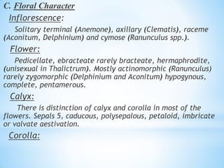 C. Floral Character
Inflorescence:
Solitary terminal (Anemone), axillary (Clematis), raceme
(Aconitum, Delphinium) and cymose (Ranunculus spp.).
Flower:
Pedicellate, ebracteate rarely bracteate, hermaphrodite,
(unisexual in Thalictrum). Mostly actinomorphic (Ranunculus)
rarely zygomorphic (Delphinium and Aconitum) hypogynous,
complete, pentamerous.
Calyx:
There is distinction of calyx and corolla in most of the
flowers. Sepals 5, caducous, polysepalous, petaloid, imbricate
or valvate aestivation.
Corolla:
 