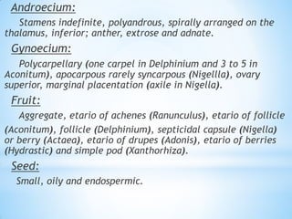 Androecium:
Stamens indefinite, polyandrous, spirally arranged on the
thalamus, inferior; anther, extrose and adnate.
Gynoecium:
Polycarpellary (one carpel in Delphinium and 3 to 5 in
Aconitum), apocarpous rarely syncarpous (Nigellla), ovary
superior, marginal placentation (axile in Nigella).
Fruit:
Aggregate, etario of achenes (Ranunculus), etario of follicle
(Aconitum), follicle (Delphinium), septicidal capsule (Nigella)
or berry (Actaea), etario of drupes (Adonis), etario of berries
(Hydrastic) and simple pod (Xanthorhiza).
Seed:
Small, oily and endospermic.
 