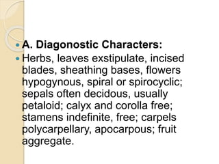 Spirocyclic Flower Ranunculaceae group in Homoeopathic Materia Medica. | PPTX