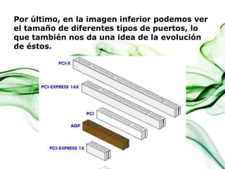Por último, en la imagen inferior podemos ver
el tamaño de diferentes tipos de puertos, lo
que también nos da una idea de la evolución
de éstos.

 