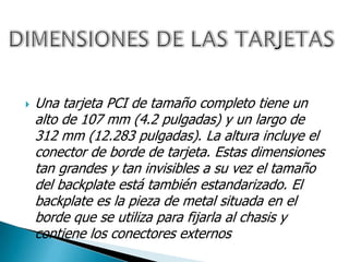  Una tarjeta PCI de tamaño completo tiene un
alto de 107 mm (4.2 pulgadas) y un largo de
312 mm (12.283 pulgadas). La altura incluye el
conector de borde de tarjeta. Estas dimensiones
tan grandes y tan invisibles a su vez el tamaño
del backplate está también estandarizado. El
backplate es la pieza de metal situada en el
borde que se utiliza para fijarla al chasis y
contiene los conectores externos
 