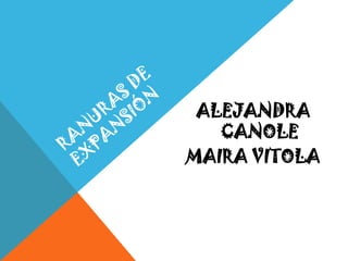 ALEJANDRA
CANOLE
MAIRA VITOLA
 
