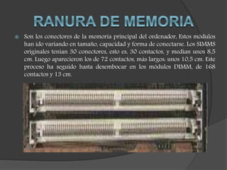  Son los conectores de la memoria principal del ordenador, Estos módulos
han ido variando en tamaño, capacidad y forma de conectarse. Los SIMMS
originales tenían 30 conectores, esto es, 30 contactos, y medían unos 8,5
cm. Luego aparecieron los de 72 contactos, más largos: unos 10,5 cm. Este
proceso ha seguido hasta desembocar en los módulos DIMM, de 168
contactos y 13 cm.
 