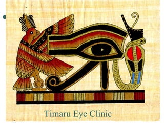 Timaru Eye Clinic 