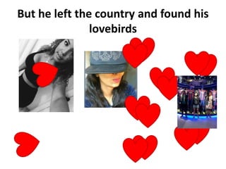 But he left the country and found his
lovebirds
 