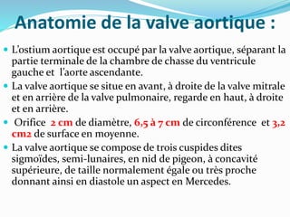 Anatomie de la valve aortique :
 L’ostium aortique est occupé par la valve aortique, séparant la
partie terminale de la chambre de chasse du ventricule
gauche et l’aorte ascendante.
 La valve aortique se situe en avant, à droite de la valve mitrale
et en arrière de la valve pulmonaire, regarde en haut, à droite
et en arrière.
 Orifice 2 cm de diamètre, 6,5 à 7 cm de circonférence et 3,2
cm2 de surface en moyenne.
 La valve aortique se compose de trois cuspides dites
sigmoïdes, semi-lunaires, en nid de pigeon, à concavité
supérieure, de taille normalement égale ou très proche
donnant ainsi en diastole un aspect en Mercedes.
 