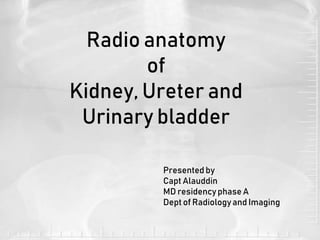 Radio anatomy
of
Kidney, Ureter and
Urinary bladder
Presented by
Capt Alauddin
MD residency phase A
Dept of Radiologyand Imaging
 