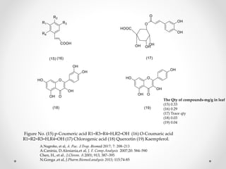 Figure No. (15) p-Coumeric acid R1=R3=R4=H,R2=OH (16) O-Coumaric acid
R1=R2=R3=H,R4=OH (17) Chlorogenic acid (18) Quercetin (19) Kaempferol.
A.Nugroho, et al, A. Pac. J.Trop. Biomed 2017; 7: 208–213
A.Caninia, D.Alesiania,et al, J. F. Comp.Analysis 2007;20: 584–590
Chen, H., et al , J.Chrom. A 2001; 913, 387–395
N.Gonga ,et al, J.Pharm.Biomed.analysis 2015; 115:74-85
The Qty of compounds-mg/g in leaf
(15) 0.33
(16) 0.29
(17) Trace qty
(18) 0.03
(19) 0.04
 