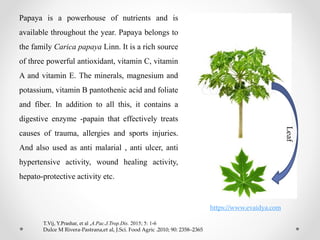 Papaya is a powerhouse of nutrients and is
available throughout the year. Papaya belongs to
the family Carica papaya Linn. It is a rich source
of three powerful antioxidant, vitamin C, vitamin
A and vitamin E. The minerals, magnesium and
potassium, vitamin B pantothenic acid and foliate
and fiber. In addition to all this, it contains a
digestive enzyme -papain that effectively treats
causes of trauma, allergies and sports injuries.
And also used as anti malarial , anti ulcer, anti
hypertensive activity, wound healing activity,
hepato-protective activity etc.
Leaf
T.Vij, Y.Prashar, et al ,A.Pac.J.Trop.Dis. 2015; 5: 1-6
Dulce M Rivera-Pastrana,et al, J.Sci. Food Agric .2010; 90: 2358–2365
https://www.evaidya.com
 
