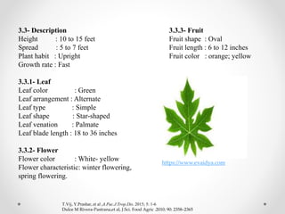 3.3- Description
Height : 10 to 15 feet
Spread : 5 to 7 feet
Plant habit : Upright
Growth rate : Fast
3.3.1- Leaf
Leaf color : Green
Leaf arrangement : Alternate
Leaf type : Simple
Leaf shape : Star-shaped
Leaf venation : Palmate
Leaf blade length : 18 to 36 inches
3.3.2- Flower
Flower color : White- yellow
Flower characteristic: winter flowering,
spring flowering.
3.3.3- Fruit
Fruit shape : Oval
Fruit length : 6 to 12 inches
Fruit color : orange; yellow
T.Vij, Y.Prashar, et al ,A.Pac.J.Trop.Dis. 2015; 5: 1-6
Dulce M Rivera-Pastrana,et al, J.Sci. Food Agric .2010; 90: 2358–2365
https://www.evaidya.com
 