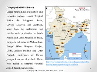 Geographical Distribution
Carica papaya Linn. Cultivation and
collection include Hawaii, Tropical
Africa, the Philippines, India,
Ceylon, Malaysia and Australia,
apart from the widespread but
smaller scale production in South
Africa, and Latin America. In India,
papaya is cultivated in Maharashtra,
Bengal, Bihar, Haryana, Punjab,
Delhi, Andhra Pradesh and Uttar
Pradesh. Cultivators of Carica
papaya Linn are described. These
were found in different varieties
with different characteristic.
http://www.mapsofindia.com/indiaagriculture/frui
ts-map/papaya-producing-states.html
V. Yogiraj, P. K.Goyal, et al, I.J.H. Med 2014; 2 : 01-08
 