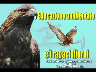Educazione ambientale e i rapaci diurni Ideazione e impostazione grafica Stefano Scivola 
