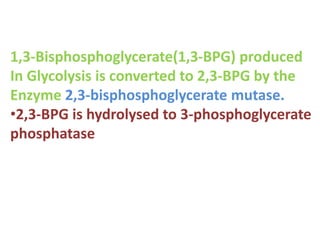 1,3-Bisphosphoglycerate(1,3-BPG) produced
In Glycolysis is converted to 2,3-BPG by the
Enzyme 2,3-bisphosphoglycerate mutase.
•2,3-BPG is hydrolysed to 3-phosphoglycerate
phosphatase
 