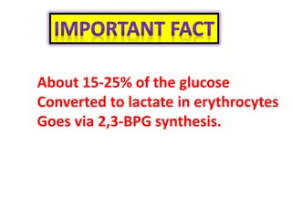 About 15-25% of the glucose
Converted to lactate in erythrocytes
Goes via 2,3-BPG synthesis.
 