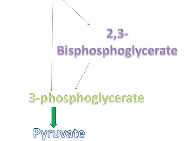 Rapaport Leubering Cycle