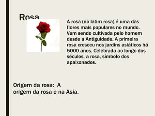 Rosa
Origem da rosa: A
origem da rosa e na Asia.
A rosa (no latim rosa) é uma das
flores mais populares no mundo.
Vem sendo cultivada pelo homem
desde a Antiguidade. A primeira
rosa cresceu nos jardins asiáticos há
5000 anos. Celebrada ao longo dos
séculos, a rosa, símbolo dos
apaixonados.
 