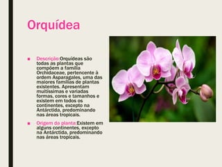 Orquídea
■ Descrição:Orquídeas são
todas as plantas que
compõem a família
Orchidaceae, pertencente à
ordem Asparagales, uma das
maiores famílias de plantas
existentes. Apresentam
muitíssimas e variadas
formas, cores e tamanhos e
existem em todos os
continentes, excepto na
Antárctida, predominando
nas áreas tropicais.
■ Origem da planta:Existem em
alguns continentes, excepto
na Antárctida, predominando
nas áreas tropicais.
 