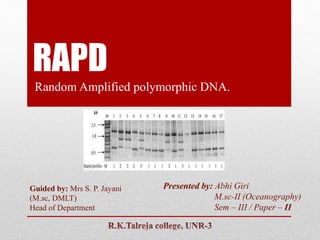 RAPD
Random Amplified polymorphic DNA.
Presented by: Abhi Giri
M.sc-II (Oceanography)
Sem – III / Paper – II
Guided by: Mrs S. P. Jayani
(M.sc, DMLT)
Head of Department
 
