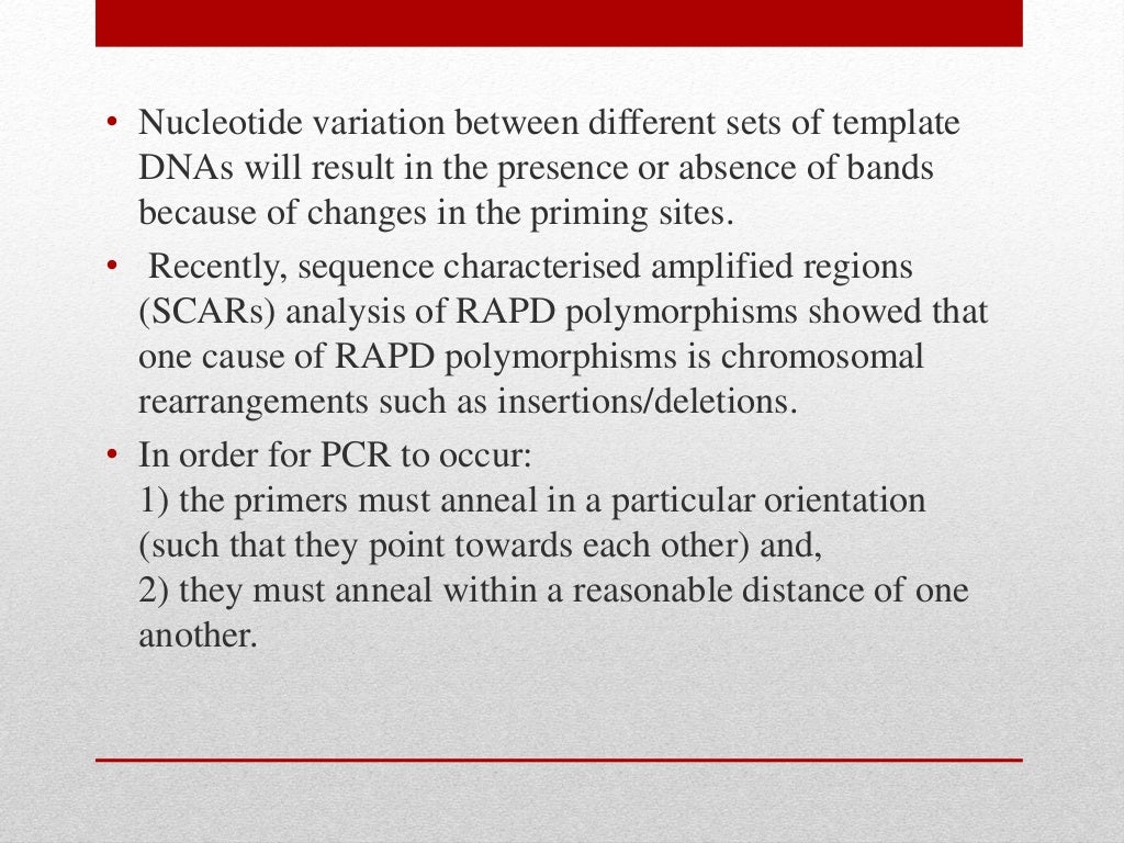 Random Amplified polymorphic DNA. RAPD