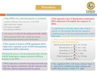 Rapd and its application | PDF