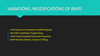 VARIATIONS /MODIFICATIONS OF RAPD
1. SCAR (Sequence Characterized Amplified Regions)
2. DAF (DNA Amplification Fingerprinting).
3. CAPS (Cleaved Amplified Polymorphic Sequence).
4. MAAP (Multiple Arbitrary Amplicon Profiling)
 
