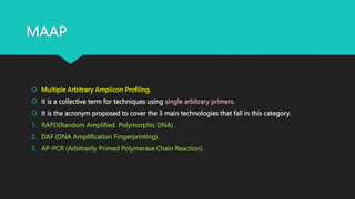MAAP
 Multiple Arbitrary Amplicon Profiling.
 It is a collective term for techniques using single arbitrary primers.
 It is the acronym proposed to cover the 3 main technologies that fall in this category.
1. RAPD(Random Amplified Polymorphic DNA) .
2. DAF (DNA Amplification Fingerprinting).
3. AP-PCR (Arbitrarily Primed Polymerase Chain Reaction).
 
