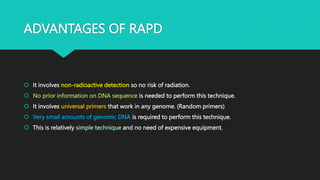 ADVANTAGES OF RAPD
 It involves non-radioactive detection so no risk of radiation.
 No prior information on DNA sequence is needed to perform this technique.
 It involves universal primers that work in any genome. (Random primers)
 Very small amounts of genomic DNA is required to perform this technique.
 This is relatively simple technique and no need of expensive equipment.
 
