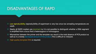 DISADVANTAGES OF RAPD
 Low reproducibility (reproducibility of experiment is very low since low annealing temperatures are
used).
 Nearly all RAPD markers are dominant ie, it is not possible to distinguish whether a DNA segment
is amplified from a locus that is heterozygous or homozygous.
 Mismatches between the primer and the template can result in the total absence of PCR product as
well as in a merely decreased amount of the product.This is difficult to interpret.
 High quality template DNA is required.
 