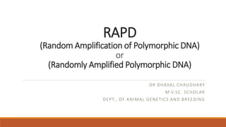 RAPD
(Random Amplification of Polymorphic DNA)
or
(Randomly Amplified Polymorphic DNA)
DR DHAVAL CHAUDHARY
M.V.SC. SCHOLAR
DEPT., OF ANIMAL GENETICS AND BREEDING
 