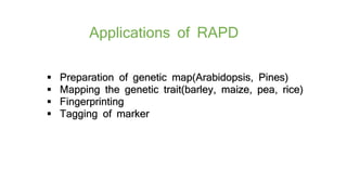 Rapd,pcr,aflp presentation | PPTX