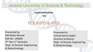 Jessore University of Science & Technology
a presentation
on
PCR,RAPD & AFLP
Presented by
Md Robel Ahmed
Roll No: 140603
4th Year 1st Semester
Dept. of Genetic Engineering
& Biotechnology
Presented to
Forhad Karim Saikot
Assistant professor
Dept. of Genetic Engineering
& Biotechnology
 