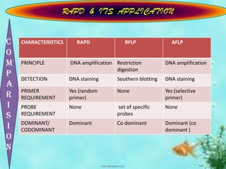 Downscaling Rapsd Rapd ppt | PPTX