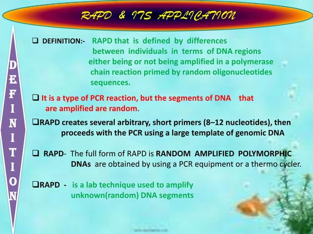 Rapd Ppt Rapd Ppt