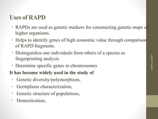 Uses of RAPD
• RAPDs are used as genetic markers for constructing genetic maps of
higher organisms.
• Helps to identify genes of high economic value through comparison
of RAPD fragments.
• Distinguishes one individuals from others of a species as
fingerprinting analysis
• Determine specific genes in chromosomes
It has become widely used in the study of
• Genetic diversity/polymorphism,
• Germplasm characterization,
• Genetic structure of populations,
• Domestication,
neethuasokan
 
