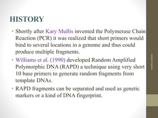 HISTORY
• Shortly after Kary Mullis invented the Polymerase Chain
Reaction (PCR) it was realized that short primers would
bind to several locations in a genome and thus could
produce multiple fragments.
• Williams et al. (1990) developed Random Amplified
Polymorphic DNA (RAPD) a technique using very short
10 base primers to generate random fragments from
template DNAs.
• RAPD fragments can be separated and used as genetic
markers or a kind of DNA fingerprint.
neethuasokan
 
