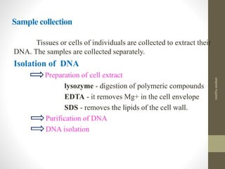 Sample collection
Tissues or cells of individuals are collected to extract their
DNA. The samples are collected separately.
Isolation of DNA
Preparation of cell extract
lysozyme - digestion of polymeric compounds
EDTA - it removes Mg+ in the cell envelope
SDS - removes the lipids of the cell wall.
Purification of DNA
DNA isolation
neethuasokan
 