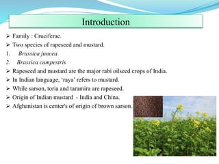 Introduction
 Family : Cruciferae.
 Two species of rapeseed and mustard.
1. Brassica juncea
2. Brassica campestris
 Rapeseed and mustard are the major rabi oilseed crops of India.
 In Indian language, ‘raya’ refers to mustard.
 While sarson, toria and taramira are rapeseed.
 Origin of Indian mustard - India and China.
 Afghanistan is center's of origin of brown sarson.
 