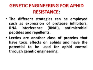 APHID RESISTANCE BREEDING IN RAPESEED AND MUSTARD | PPTX