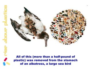 Surfrider FoundationChris Jordan Chris Jordan Chris Jordan 