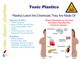 ©Dino Ferri http://www.auduboninstitute.org/zoohttp://news.bbc.co.uk